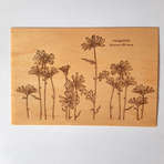 ABCA03 - Carte postale en bois gravée de marguerites