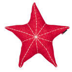 XTCO002 - Coussin étoile rouge d'hiver